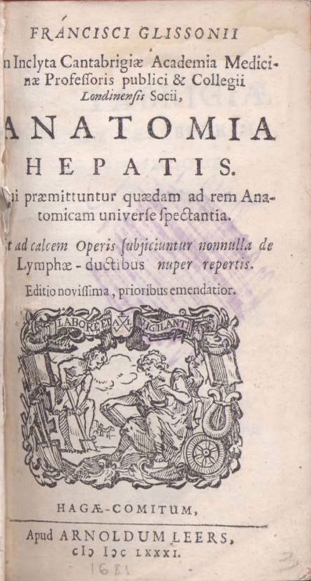 Anatomia Hepatis Anatomia Hepatis