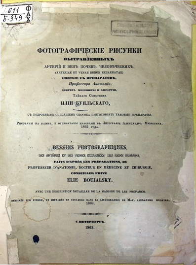 Фотографические рисунки вытравленых артерий и вен почек человеческих Фотографические рисунки вытравленых артерий и вен почек человеческих